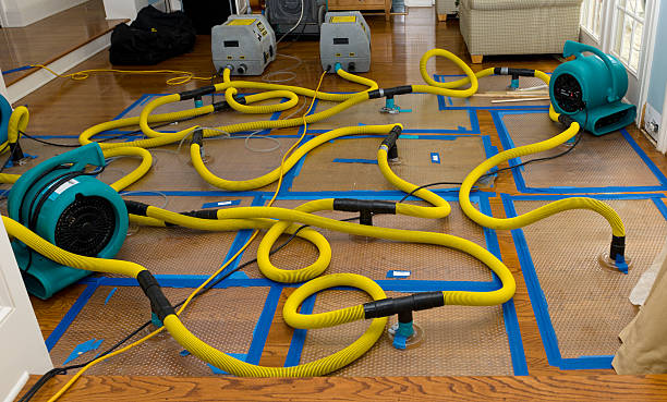 Professional Basement Flood Cleanup technician working in Kenedy, TX